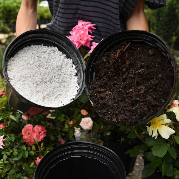 Perfect Plants 4 Qt. Perlite - Growers Grade Soil Amendment