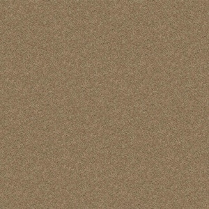 Alpine - Meditation - Beige 17.3 oz. Polyester Texture Installed Carpet