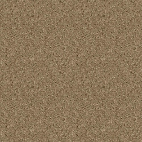 TrafficMaster Alpine - Meditation - Beige 17.3 oz. Polyester Texture Installed Carpet