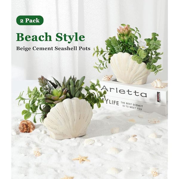 Unbranded (Set of 2) Artificial Succulents in Seashell Pots for Coastal  Beach Decor ENHD30991