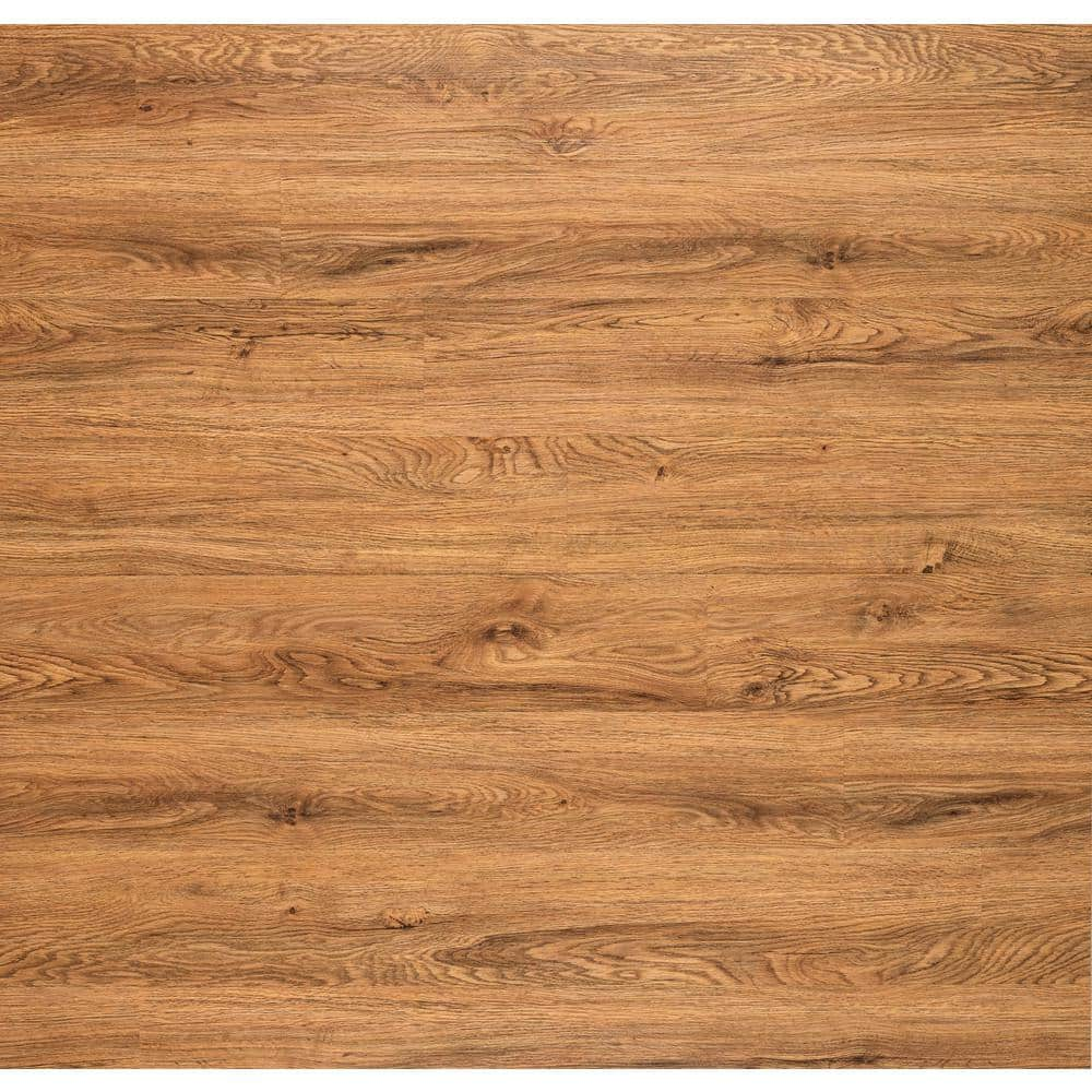 TrafficMaster Take Home Sample - Birchwood Meadows Oak Waterproof Click ...