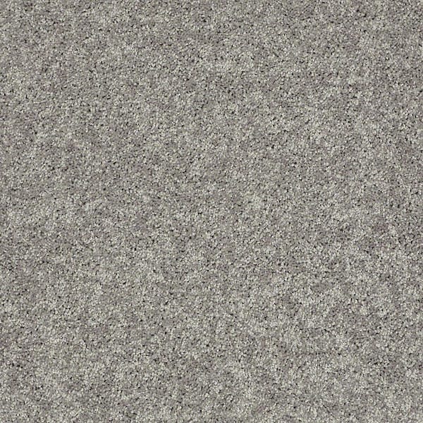 TrafficMaster 8 in. x 8 in. Texture Carpet Sample - Palmdale II - Color Harbor Fog