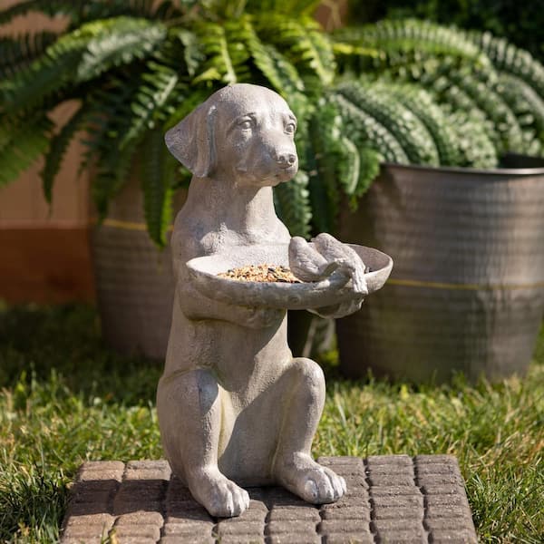 Bird proof hot sale dog feeder