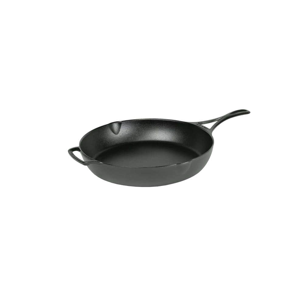 Triple Seasoned 12 in. Cast Iron Skillet price history on PriceWatchPro