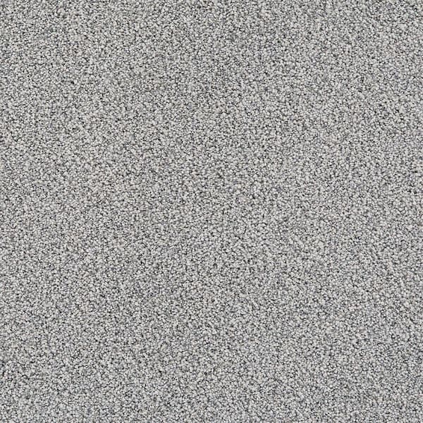 Velvetine III-Dawn Gray-75 oz. SD Polyester Texture Carpet - Installation Required