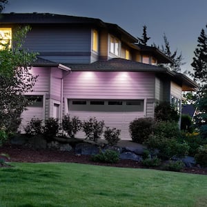 90-Watt Equivalent PAR38 Weatherproof Outdoor Landscape Purple Color E26 Medium Base FLood LED Light Bulb (4-Pack)