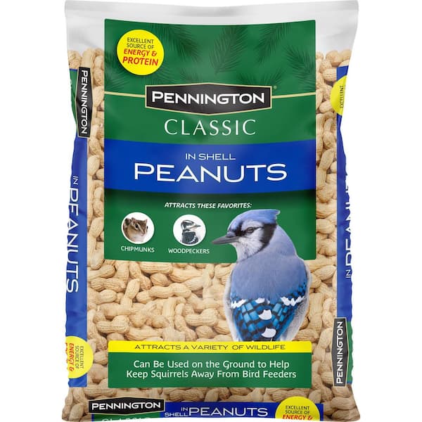 5 lbs. Bird Food In-Shell Peanuts