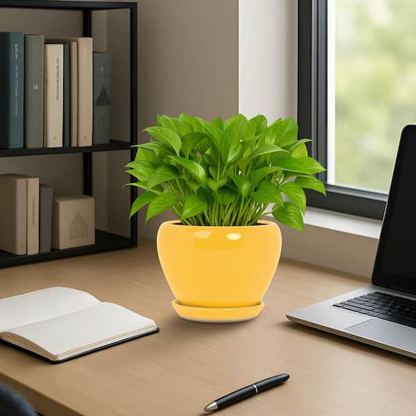 OGETFUUR Yellow Ceramic Round Flower Planter with Drainage Hole