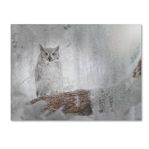 Owl Dreams by Patty Tuggle 35 in. x 47 in.
