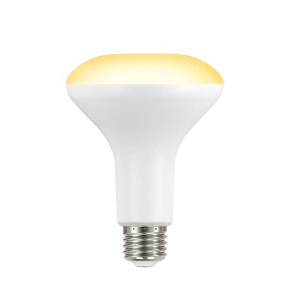 EcoSmart 90-Watt Equivalent BR30 Dimmable LED Light Bulb Soft White (2-Pack)