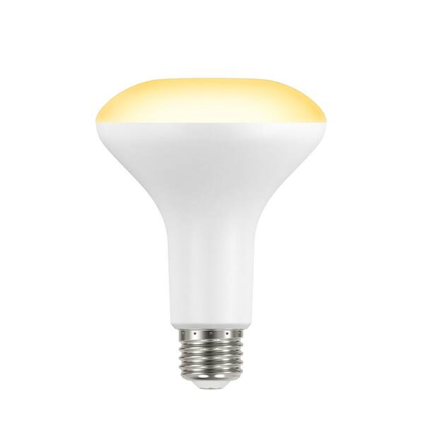 65 watt equivalent led bulb