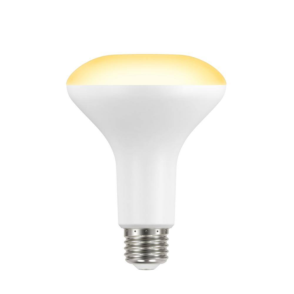 https://images.thdstatic.com/productImages/fb85675c-23bb-47cd-9187-046e9607b3d8/svn/white-ecosmart-led-light-bulbs-a20br3065wesd26-64_1000.jpg