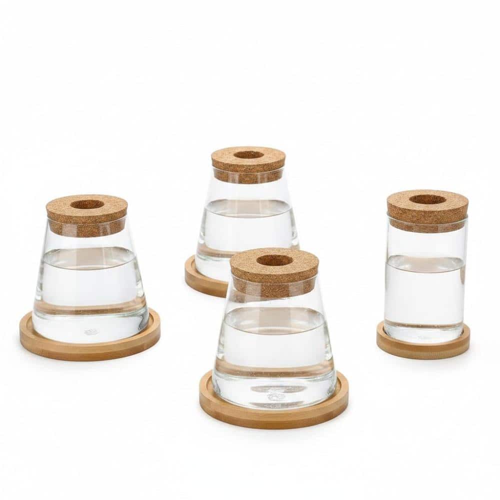4 Pack Stylish Glass Propagation Vases, Hydroponic Plant Planters with Bamboo Stand for Indoor Decor price history on PriceWatchPro