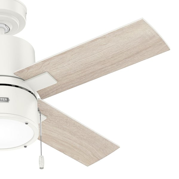Hunter - Beck 42 in. Indoor Fresh White Ceiling Fan with Light Kit