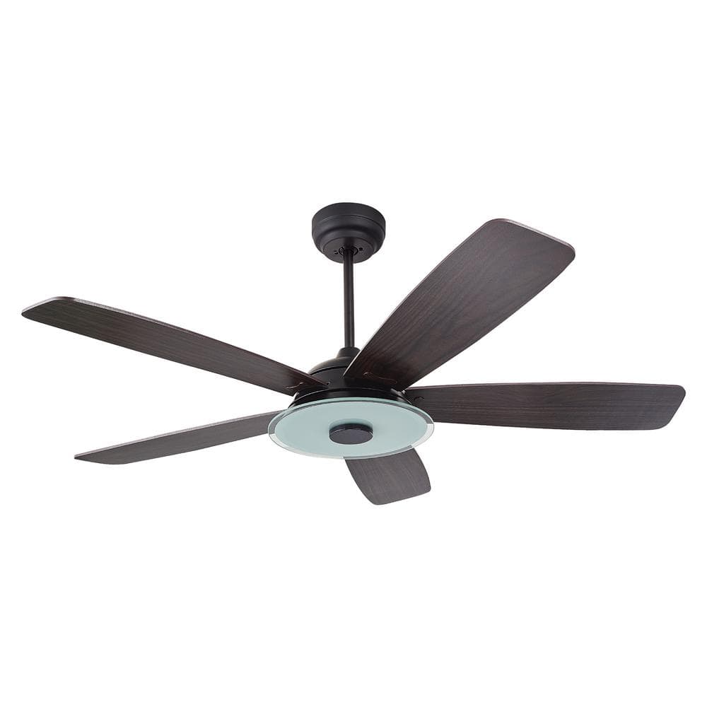 CARRO Striker 52 in. Indoor/Outdoor Black Smart Ceiling Fan, Dimmable LED  Light and Remote, Works with Alexa/Google Home/Siri S525H-L13-B5-1 The  Home Depot