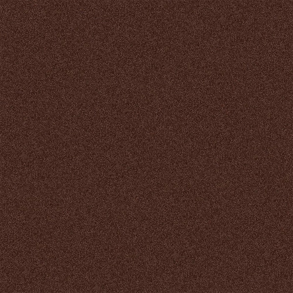 TrafficMaster Watercolors I - Coffee - Brown 28.8 oz. Polyester Texture Installed Carpet