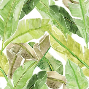 Bahama Palm Key Lime Removable Peel and Stick Vinyl Wallpaper, 28 sq. ft.