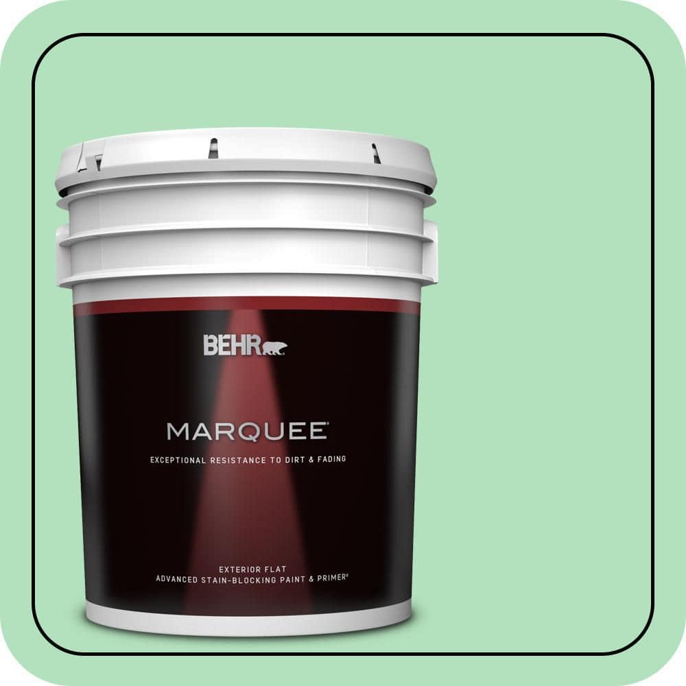 5 gal. #P400-3 Folk Tale Flat Exterior Paint & Primer price history on PriceWatchPro
