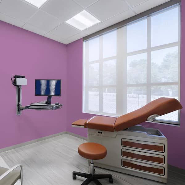 1 gal. #P100-6 Chakra Dead Flat Interior Paint