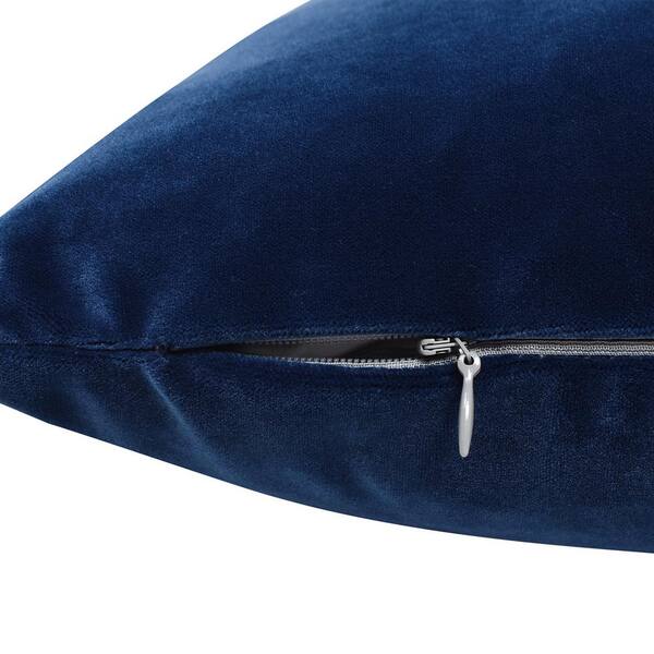 Plume 24 Square Feather Down Throw Pillow, Set of 2, Indigo Blue -  Jennifer Taylor Home