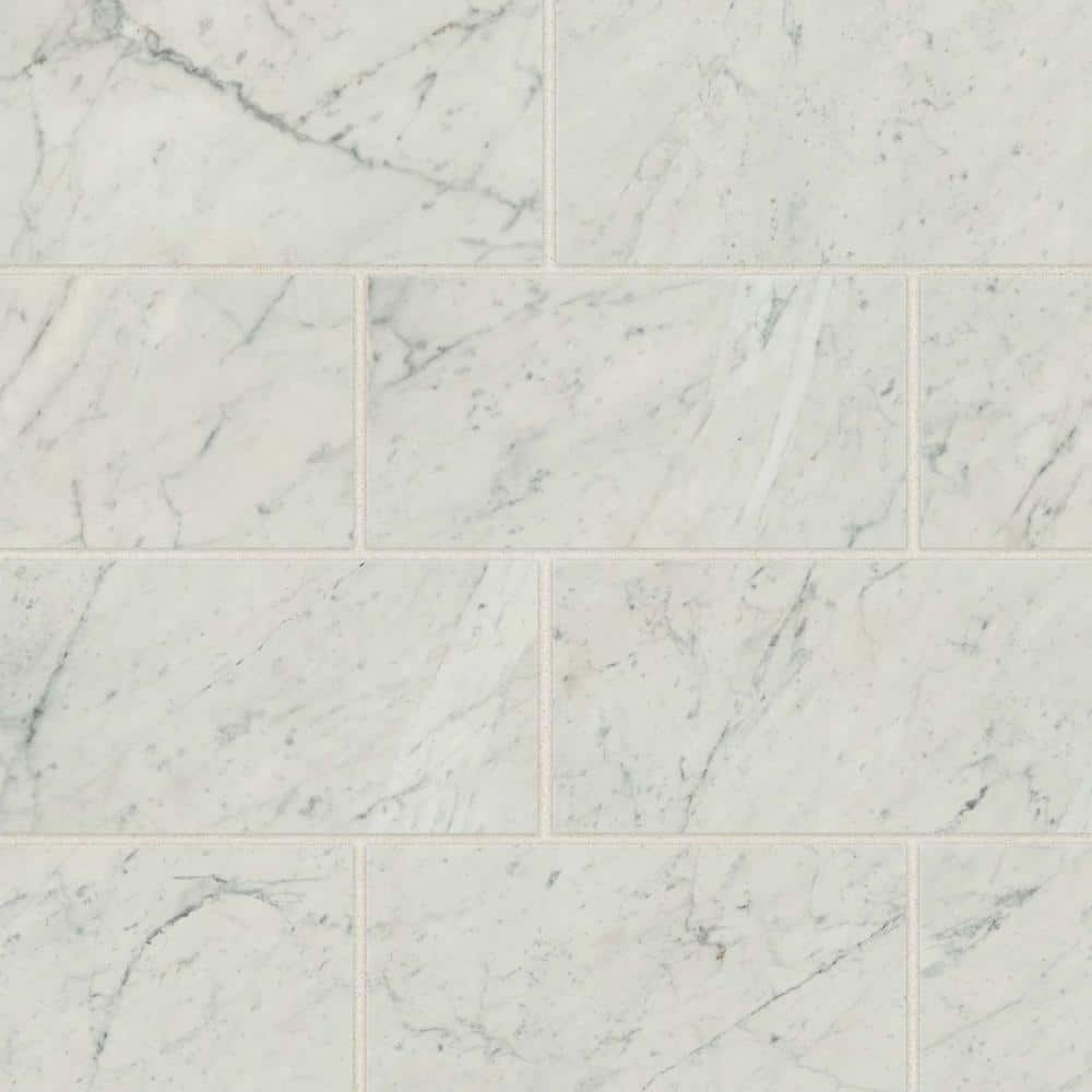 Tile Samples - Classic 2.0 12 in. x 24 in. Matte Bianco Carrara Porcelain Tile Sample (15.75 sq. ft./Case) price history on PriceWatchPro