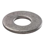 5/16 in. Galvanized Flat Washer (100-Pack)