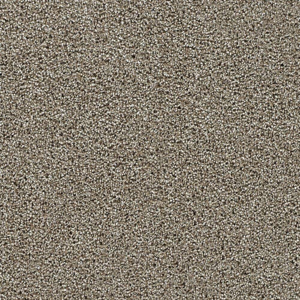 8 in. x 8 in. Texture Carpet Sample-Easel-Color Painter price history on PriceWatchPro