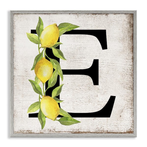 Stupell Industries E with Lemon Letter by Creatif Belle Gray Framed Food Giclee Art Print 17 in. x 17 in.