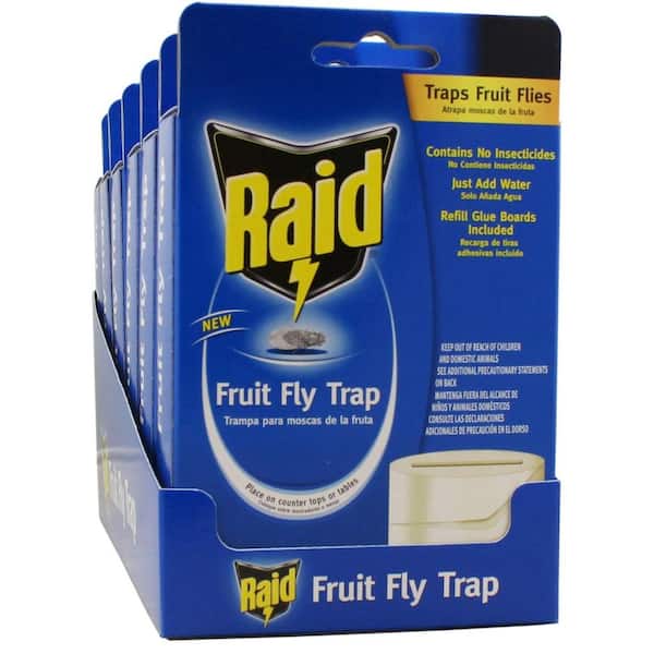 Raid Fruit Fly Trap (6-Pack)
