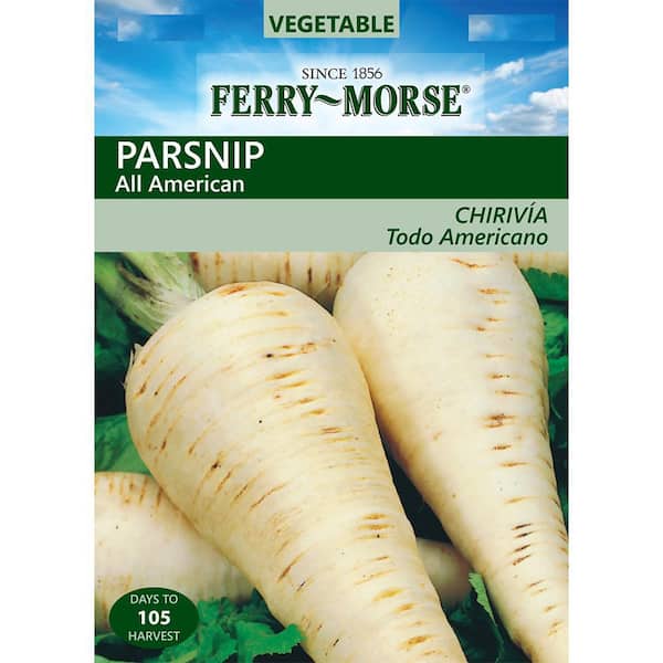 Parsnip All American Vegetable Seed