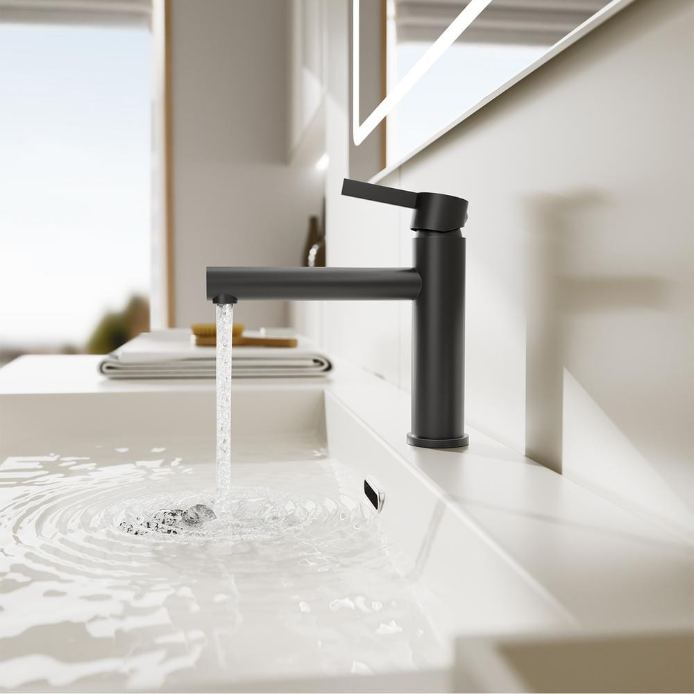 Matte Black Single Handle Bathroom Faucet with Drain Assembly