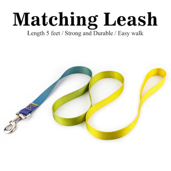 Shatex Pet Leash with Gradient Colors for Medium Dogs, Yellow and Green