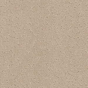 8 in. x 8 in. Pattern Carpet Sample - Adalida -Color Vanilla
