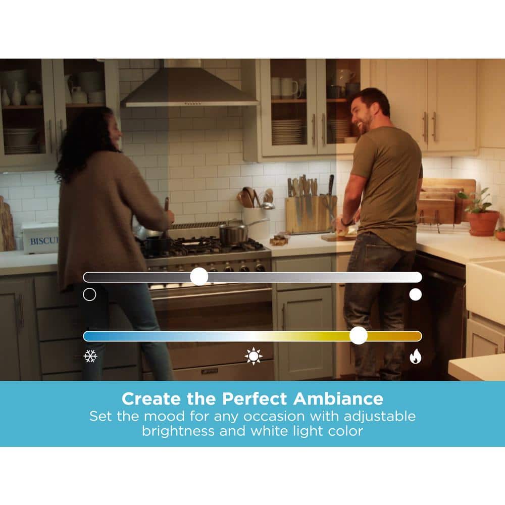 Alexa Compatible Smart Under Cabinet LED Lighting Kit