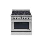 Entree 36 in. 5.5 cu. ft. Professional Style Liquid Propane Range with Convection Oven in Stainless Steel and Black