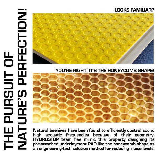 Golden Honeycomb Vinyl - 20