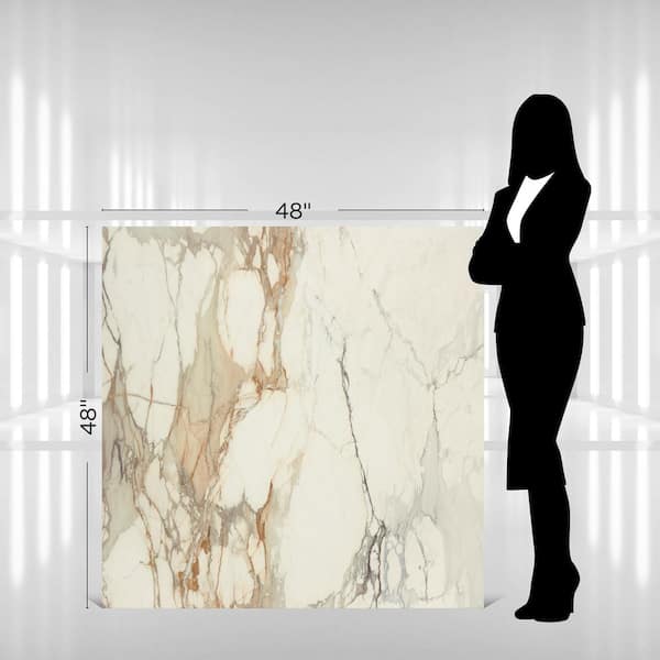 Daltile Panoramic Duet Calacatta Topaz 48 in. x 48 in. Matte