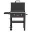 Daytona 2-Burner Propane Gas Grill 28 in. Flat Top - rated 4.6225 stars from 914 reviews