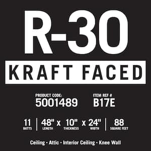 R-30 EcoBatt Kraft Faced Fiberglass Insulation Batt 10 in. x 24 in. x 48 in.