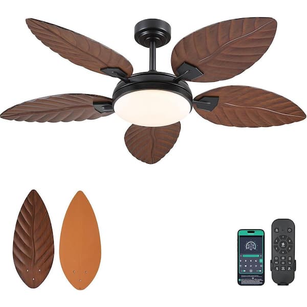Kviflon 52 in. Indoor/Outdoor Dark Black 5 Palm Leaf Shaped Blades Ceiling Fan with Dimmable LED Light and Remote/APP Control