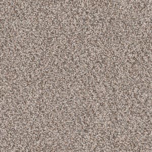 Gilbert Park II - Beach Cottage - Beige 66 oz. Polyester Texture Installed Carpet