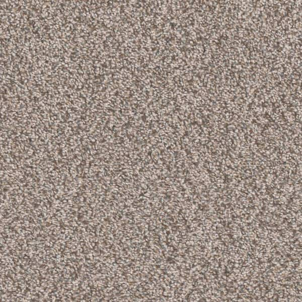 Home Decorators Collection Gilbert Park II - Beach Cottage - Beige 66 oz. Polyester Texture Installed Carpet