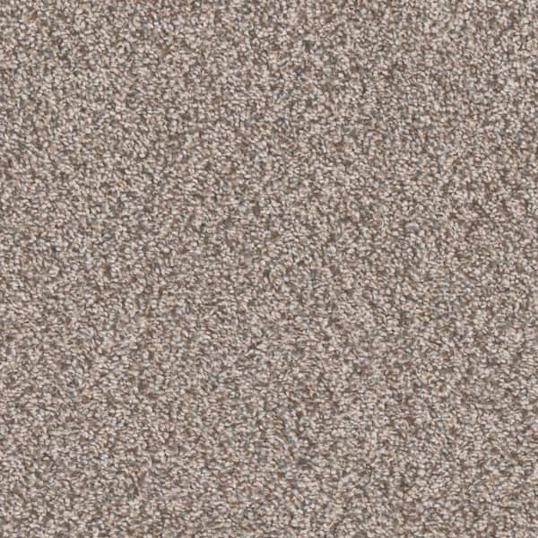 Unbranded 8 in. x 8 in. Texture Carpet Sample - Gilbert Park I -Color Beach Cottage