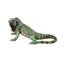 https://images.thdstatic.com/productImages/fbc27c9c-ae59-4f2e-9b98-eef18117007a/svn/design-toscano-garden-statues-ql56991-64_65.jpg
