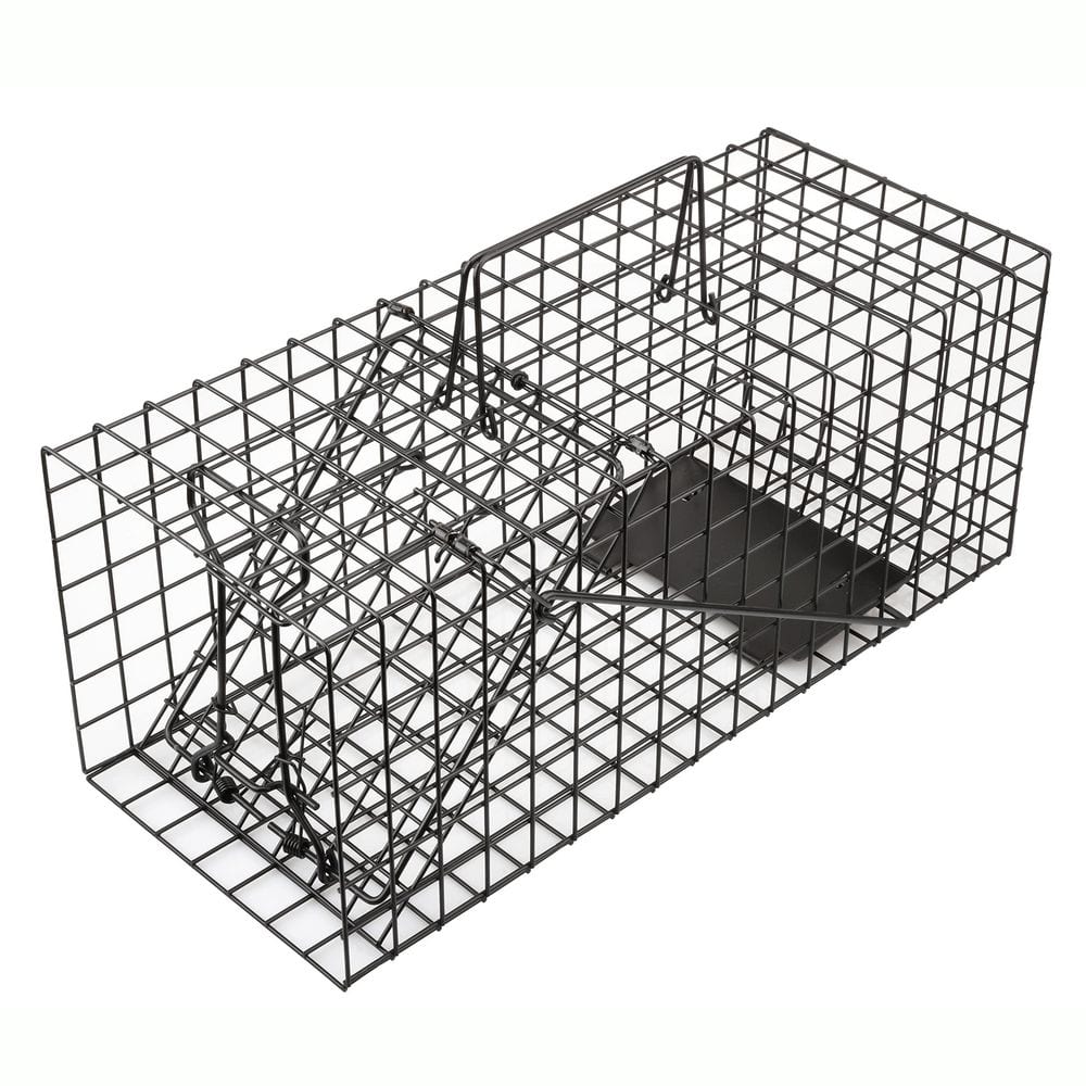 17 in. W x 7 in. D x 7 in. H Outdoor Live Squirrel Trap Heavy Duty Humane Iron Animal Cage Trap price history on PriceWatchPro