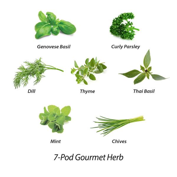 AeroGarden Italian parsley savory thyme mint basil oregano Herb Seed Pod Kit 7pc AeroGarden Italian parsley savory thyme mint basil oregano Herb Seed Pod Kit 7pc