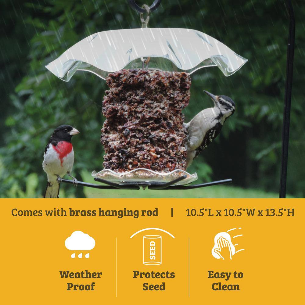 Clear Acrylic Hanging Seed Cylinder Bird Feeder
