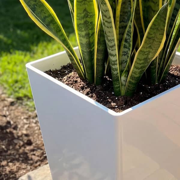 air plant terrarium ideas Drop XXL Terrarium DIY - Create your own mini Ecosystem