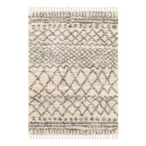 Caspian Cream 8 ft. x 12 ft. Moroccan Area Rug
