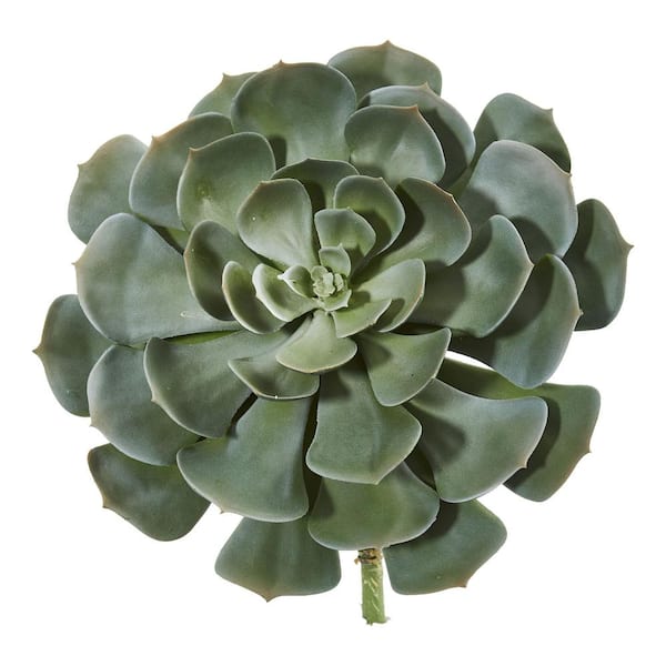 succulents arrangement NO. 398